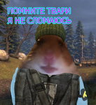 obdhamster.png